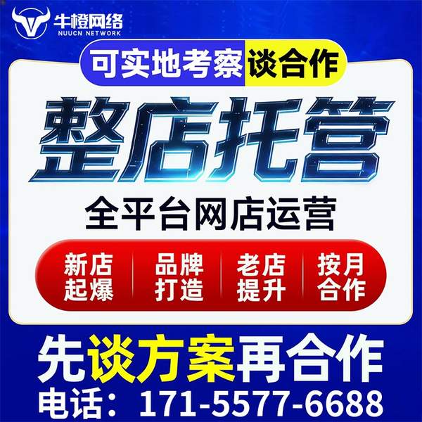 南昌电商代运营